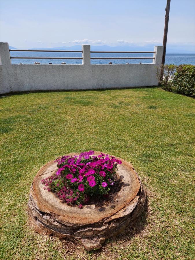 Platanidia Apartment Pelion Εξωτερικό φωτογραφία