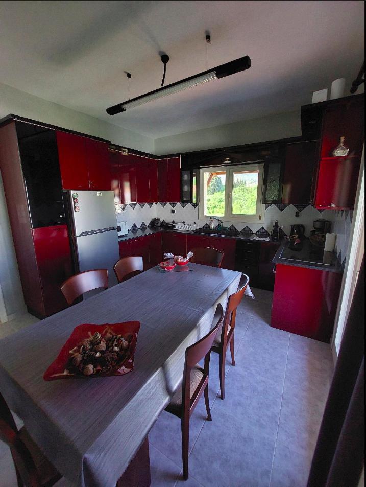 Platanidia Apartment Pelion Εξωτερικό φωτογραφία