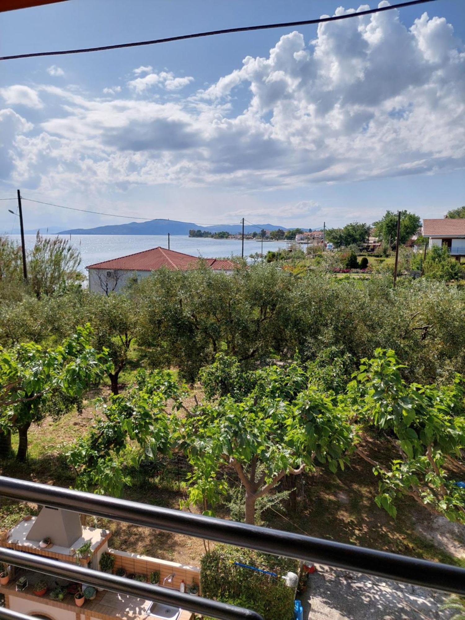 Platanidia Apartment Pelion Εξωτερικό φωτογραφία