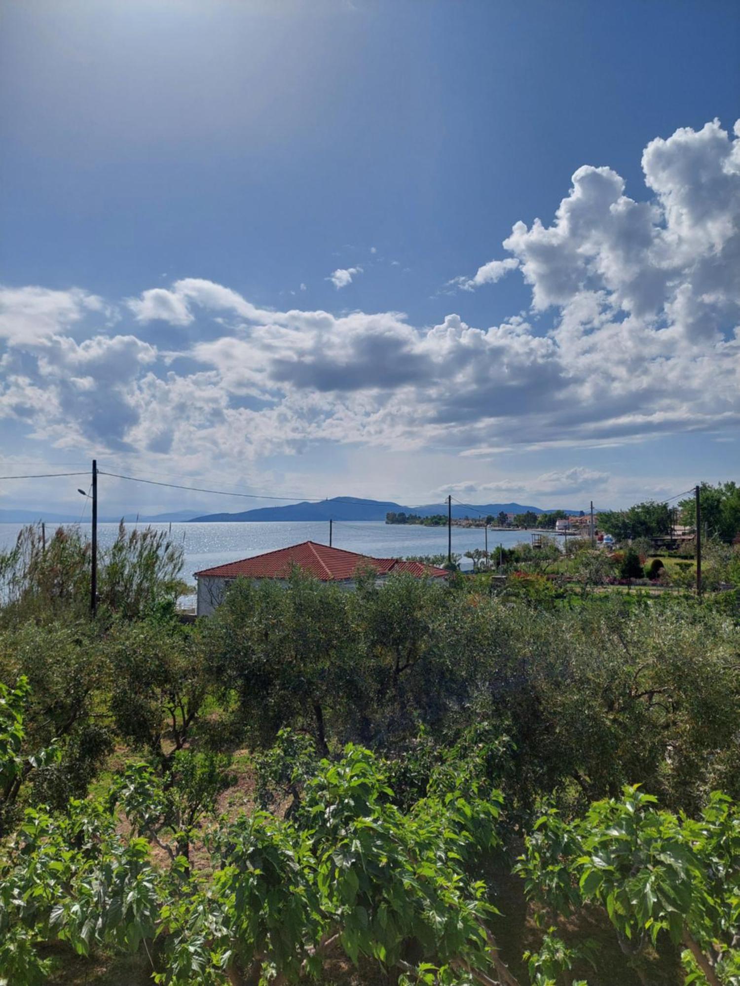 Platanidia Apartment Pelion Εξωτερικό φωτογραφία