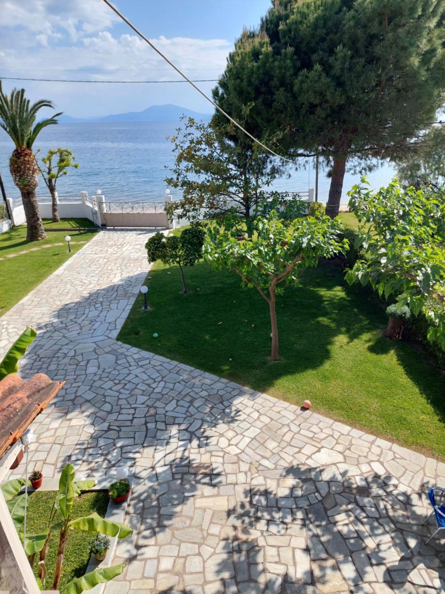 Platanidia Apartment Pelion Εξωτερικό φωτογραφία
